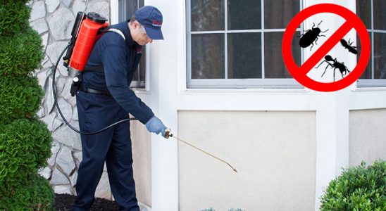 Çeşme Böcek ve Haşere İlaçlama böcek ilaçlama ve haşere kontrolü — ilaclama-tr.com